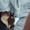 Profil Marcineksz 